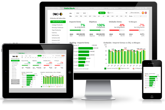 Qlikview partner