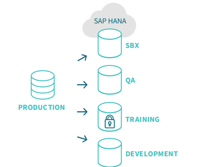 Qlik SAP Gold Client suite on hana